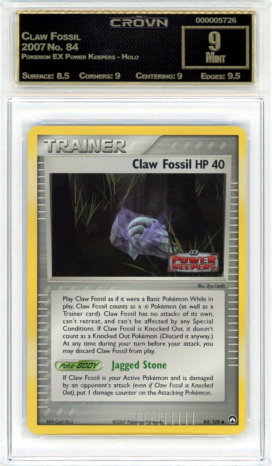 Claw Fossil