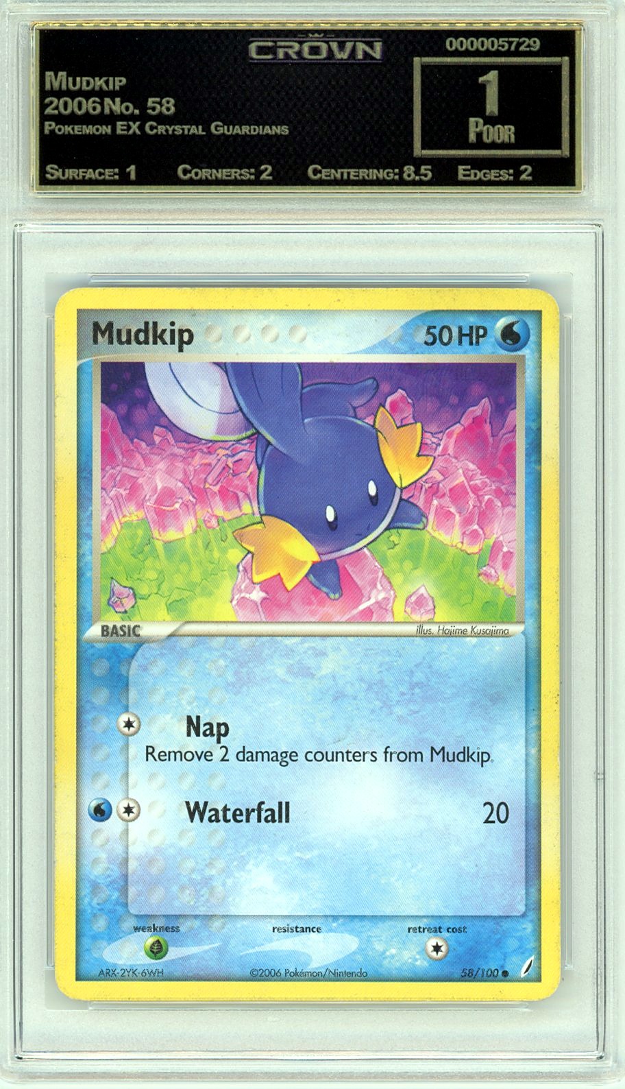 Mudkip