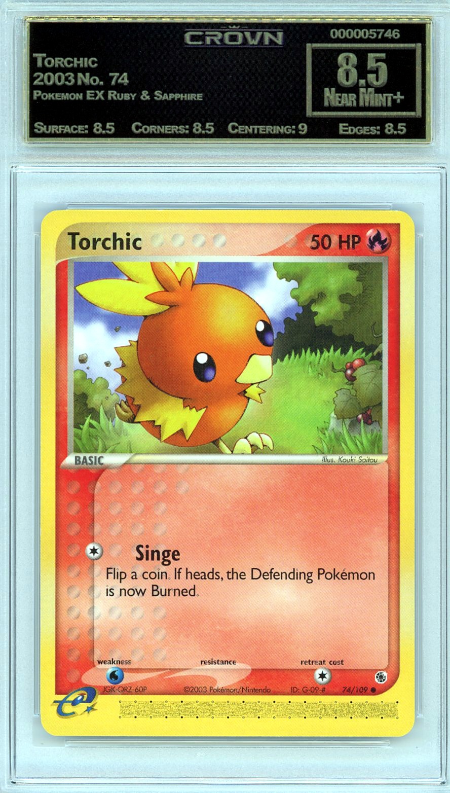 Torchic