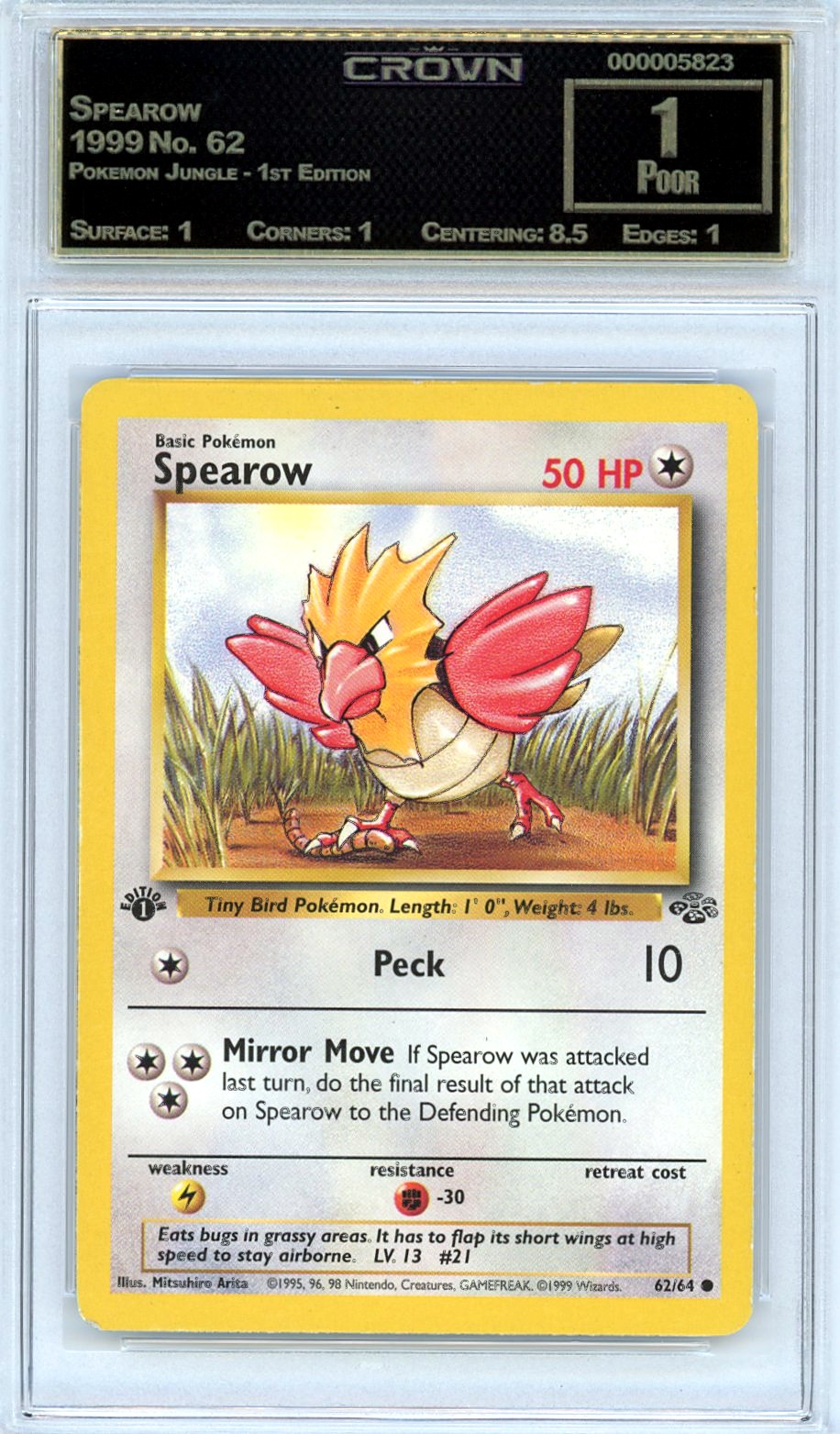 Spearow