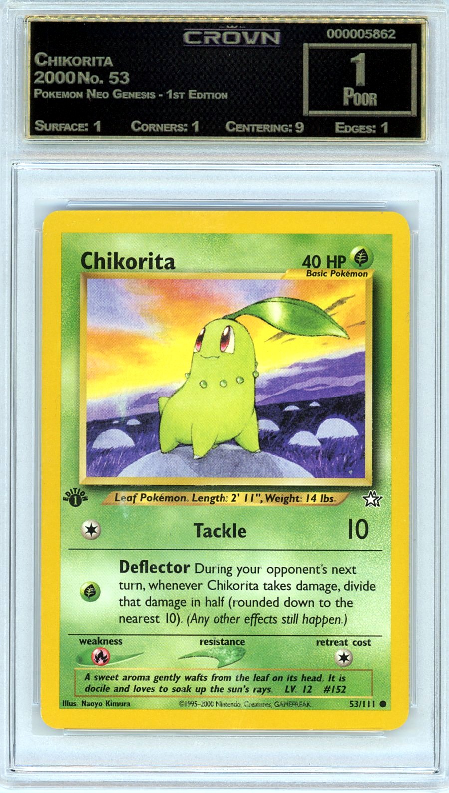 Chikorita