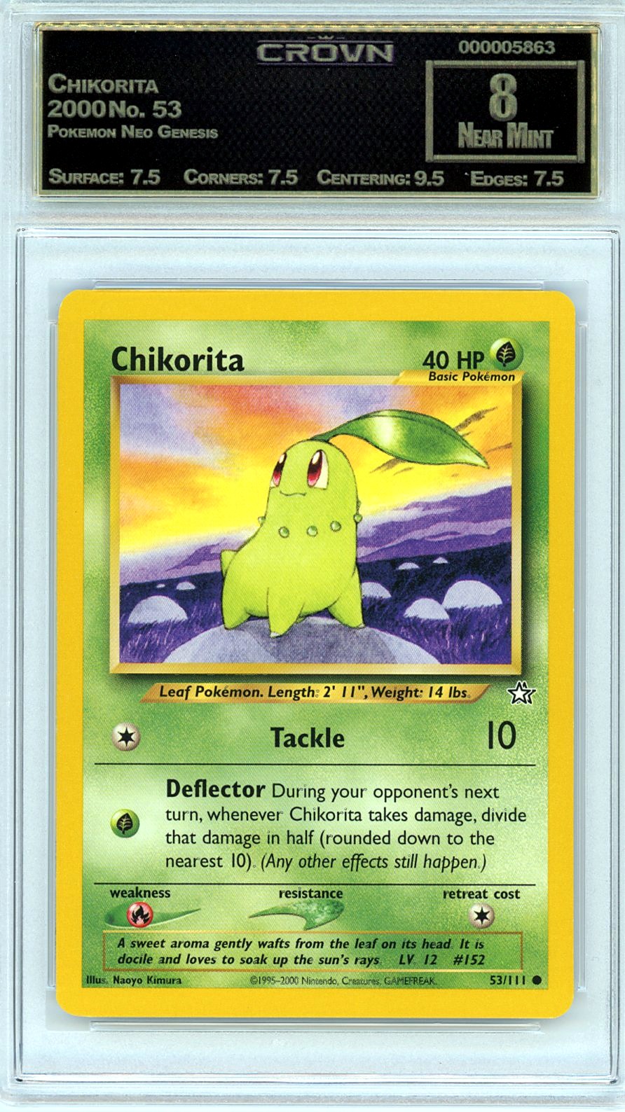Chikorita