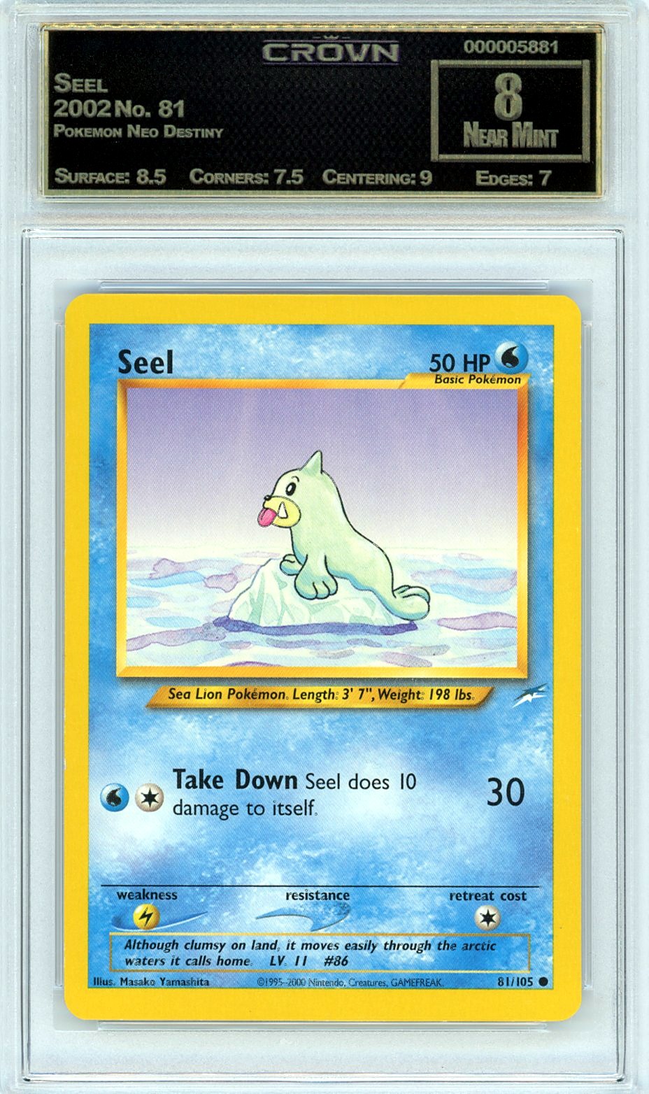 Seel