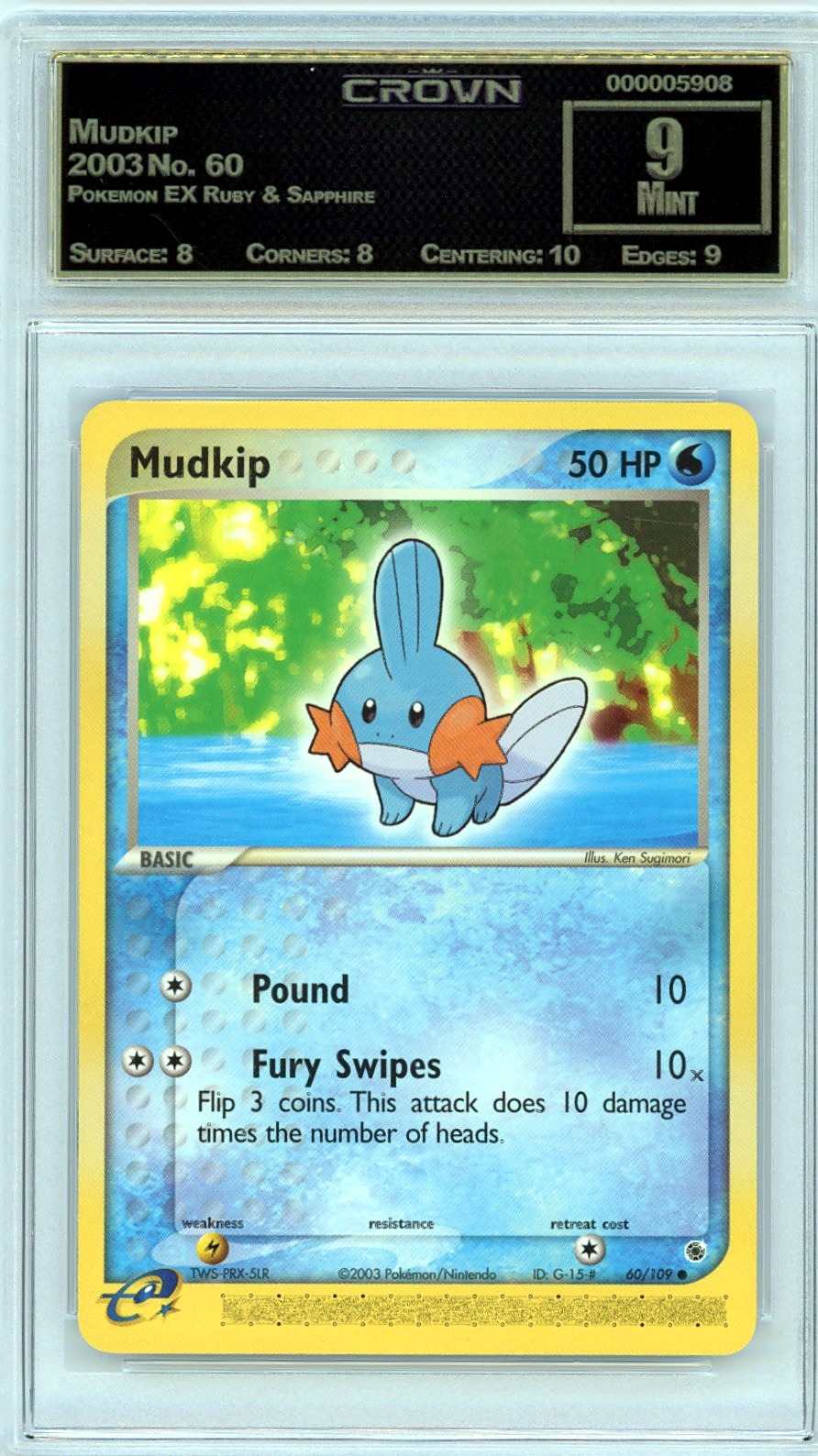 Mudkip