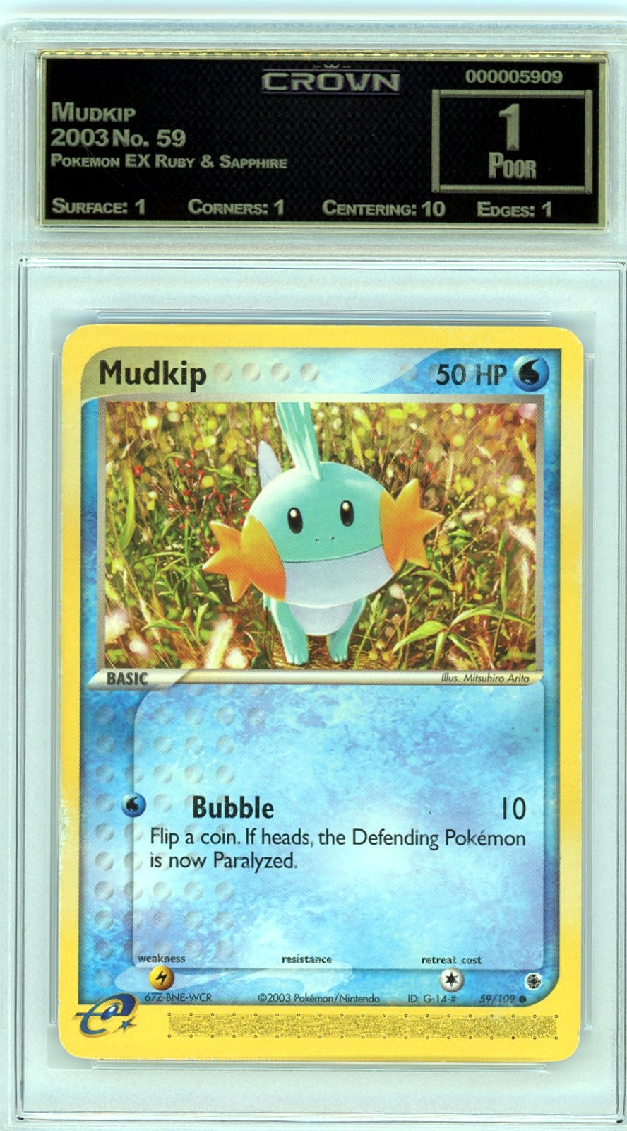 Mudkip