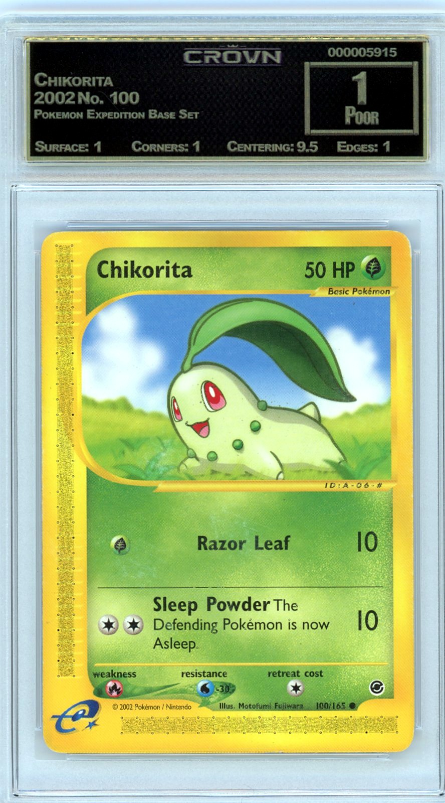 Chikorita