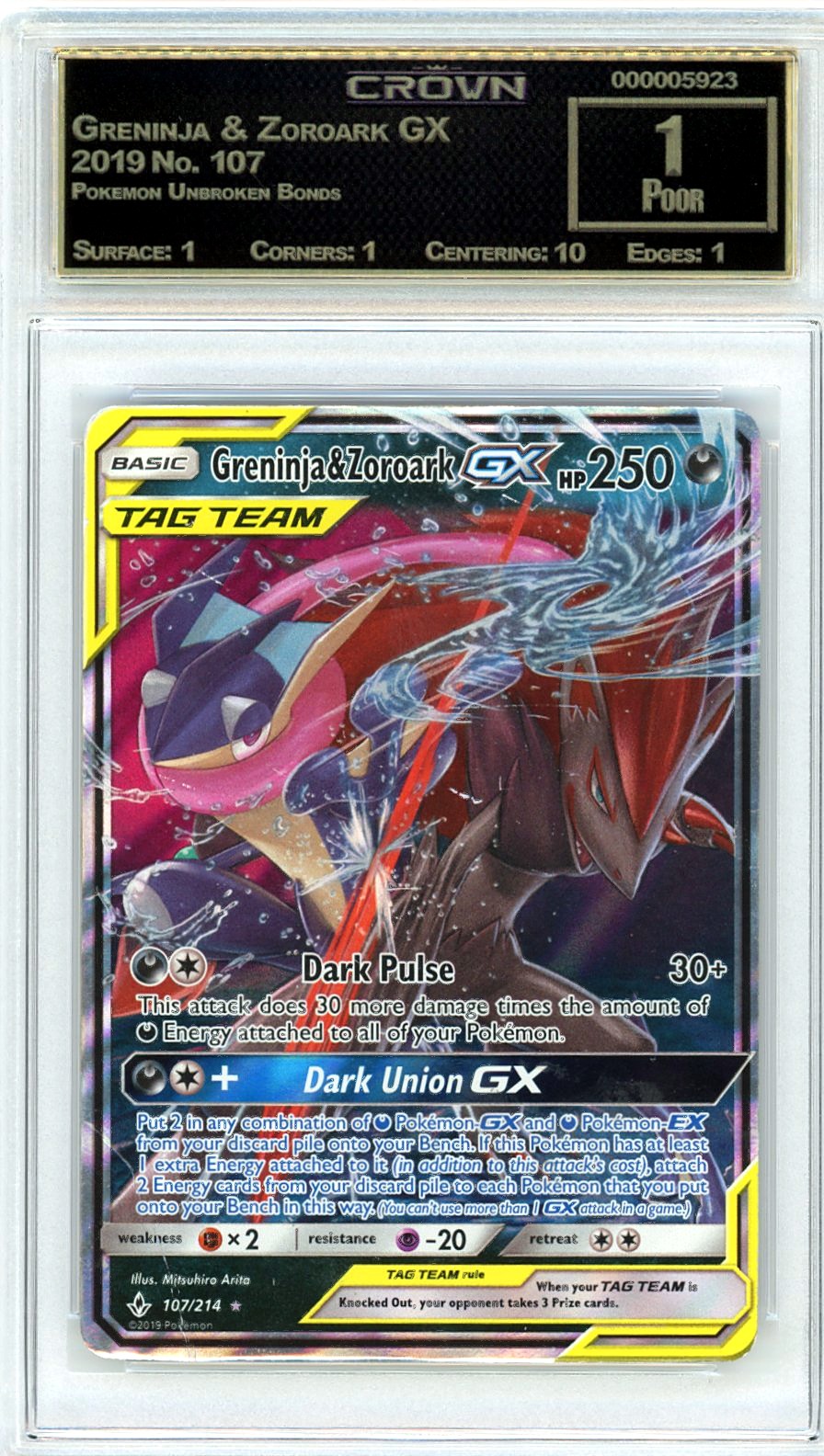 Greninja & Zoroark GX