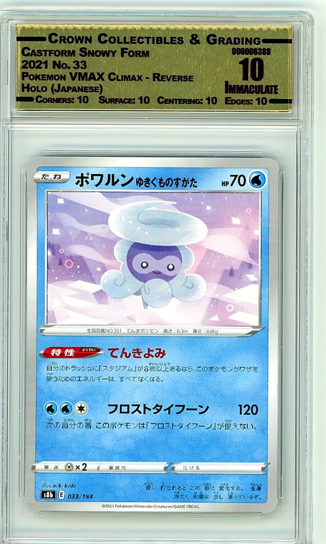Castform Snowy Form