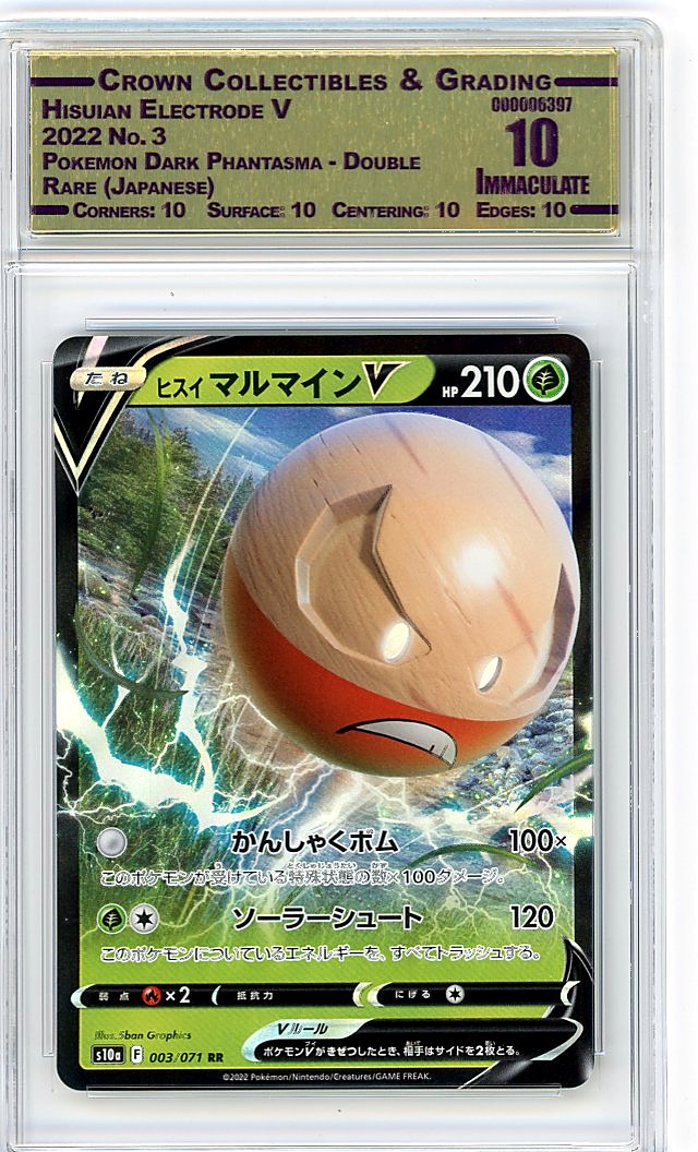 Hisuian Electrode V