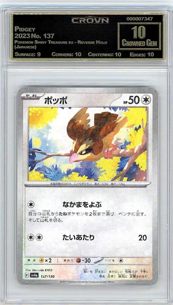 Pidgey