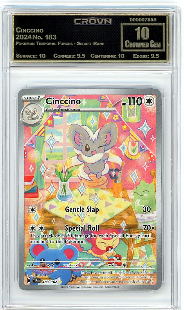 Cinccino