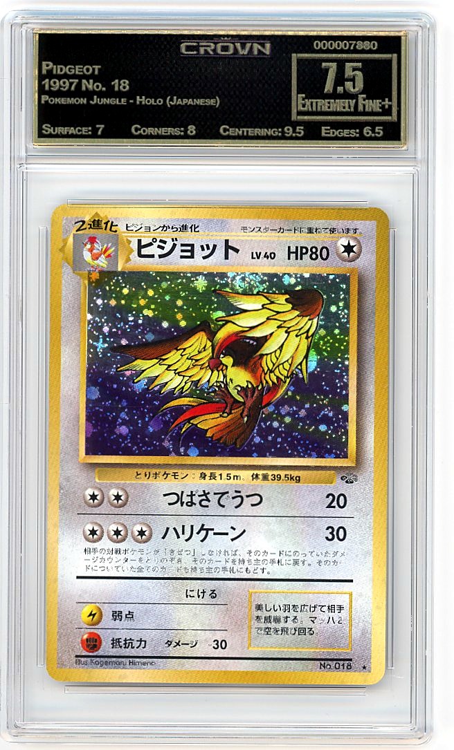 Pidgeot