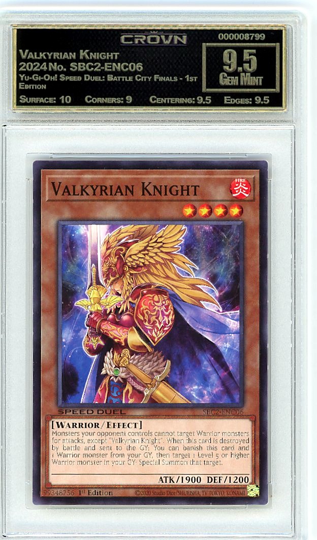 Valkyrian Knight