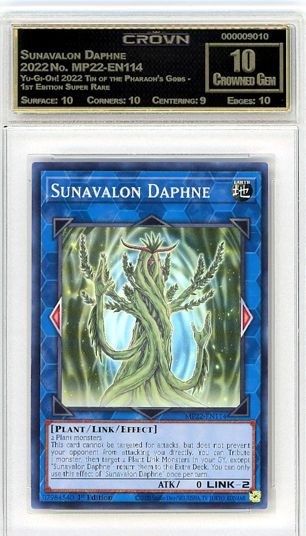Sunavalon Daphne