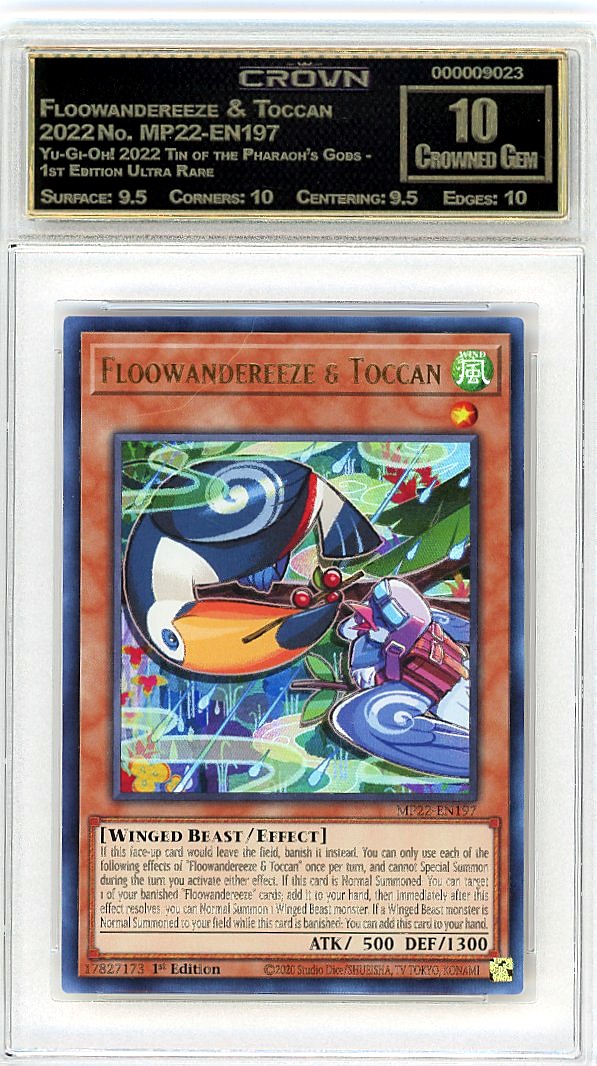 Floowandereeze & Toccan