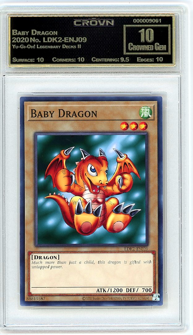 Baby Dragon