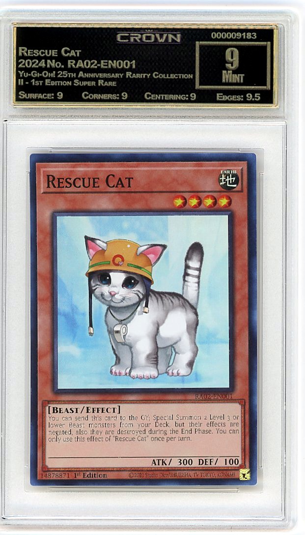 Rescue Cat