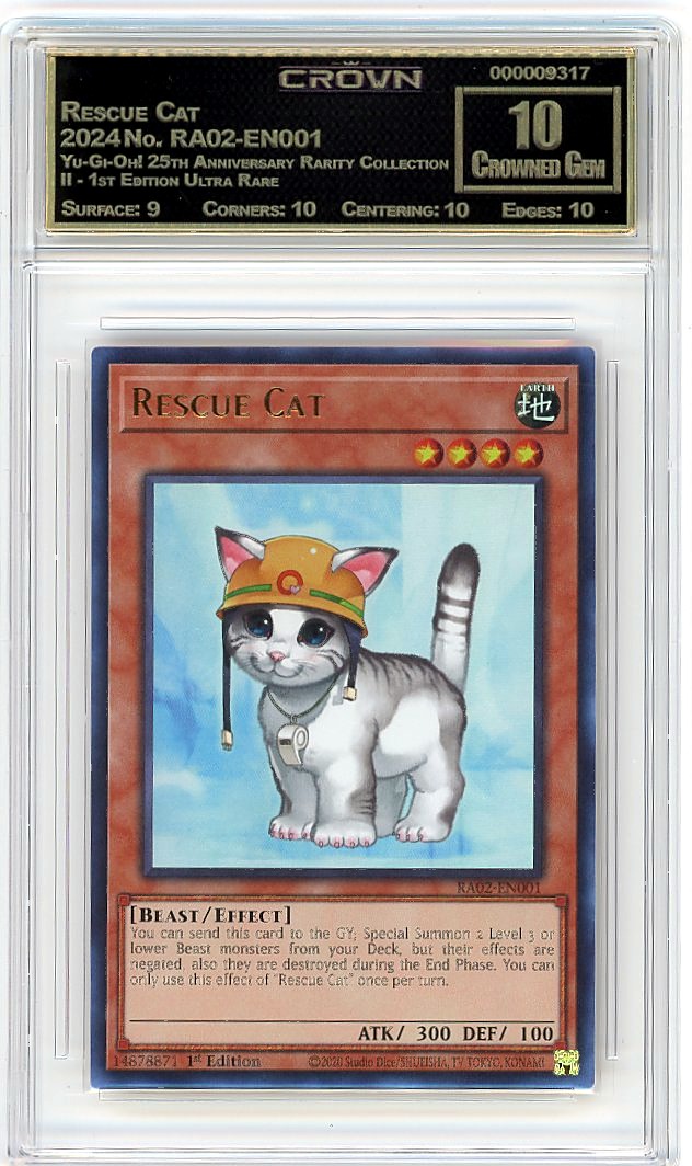 Rescue Cat