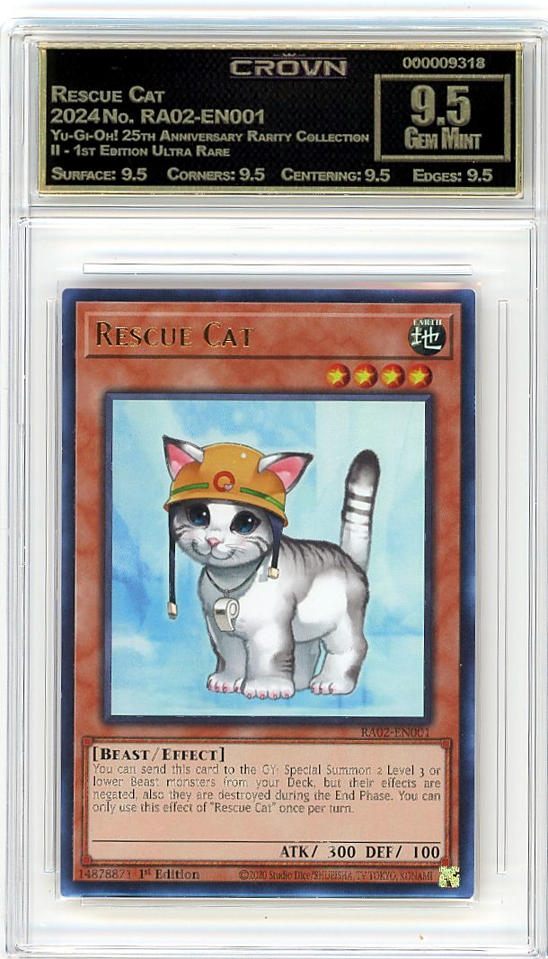 Rescue Cat