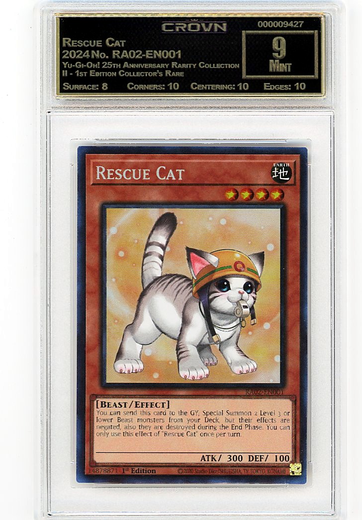 Rescue Cat