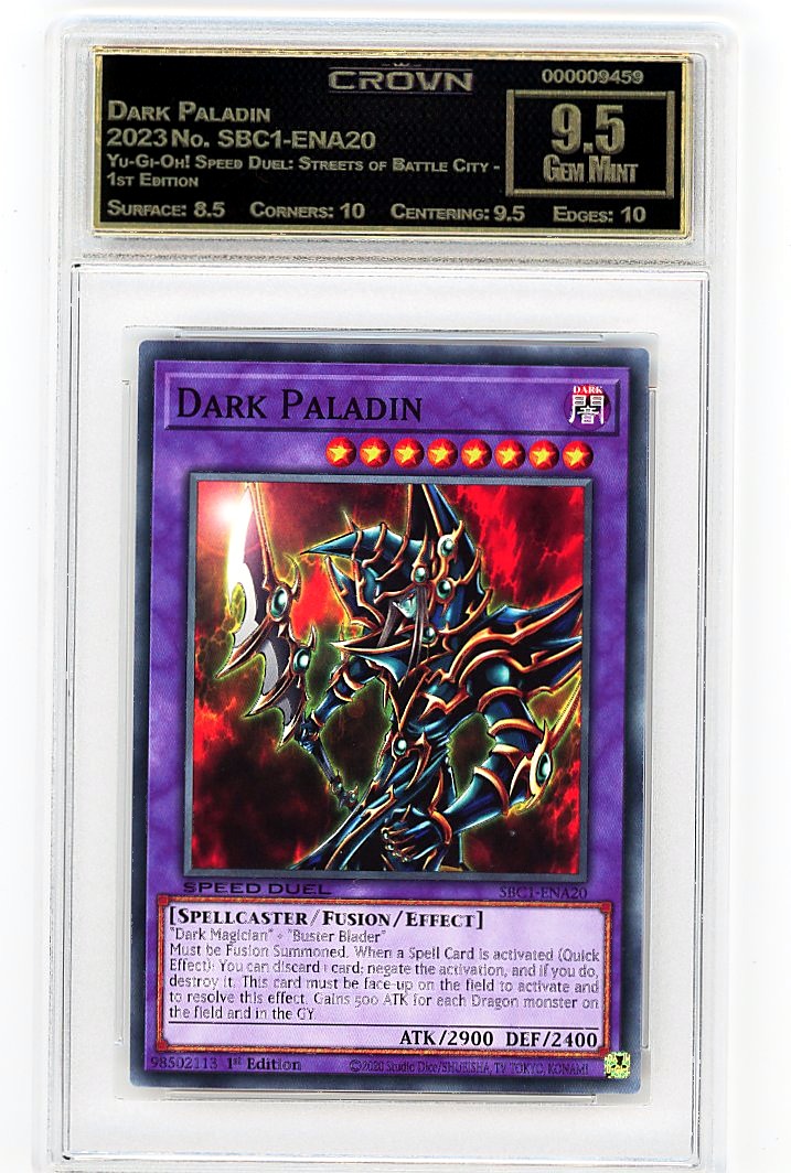 Dark Paladin