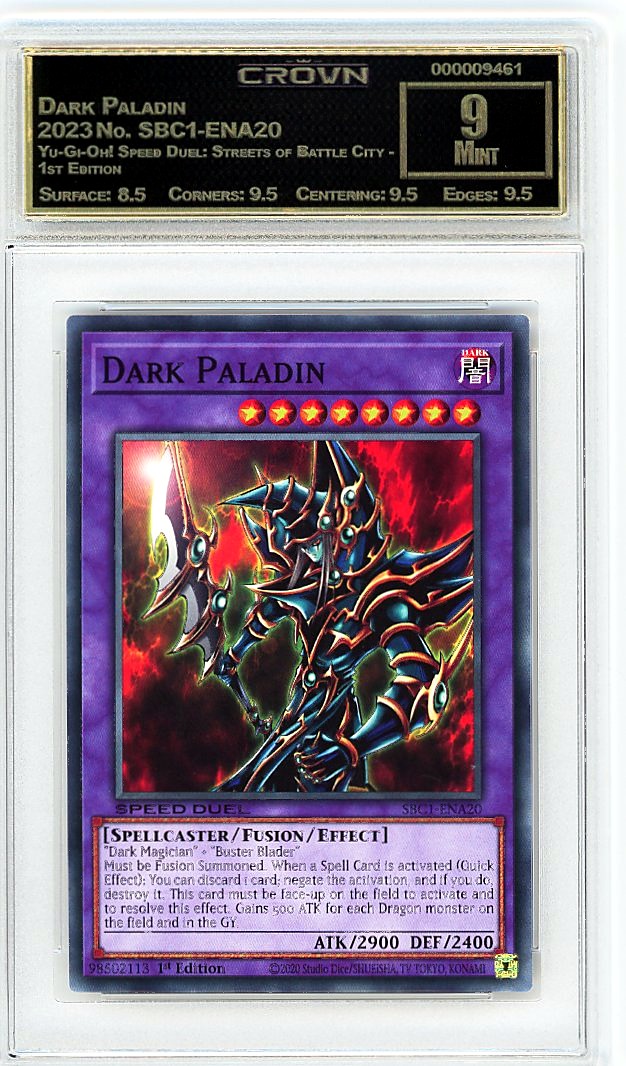Dark Paladin