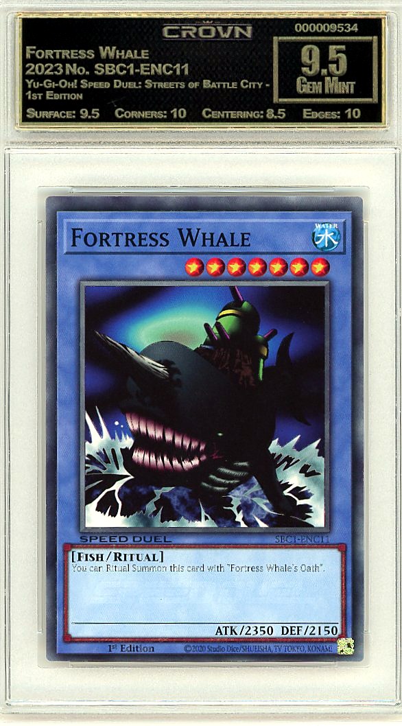 Fortress Whale