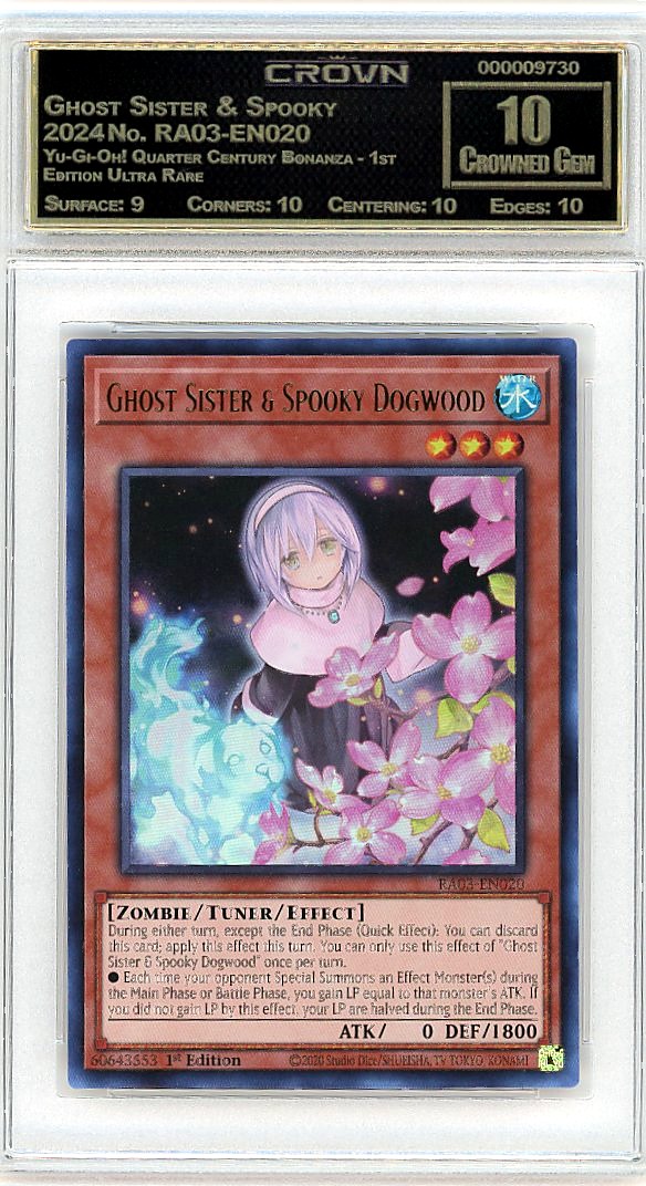 Ghost Sister & Spooky Dogw…