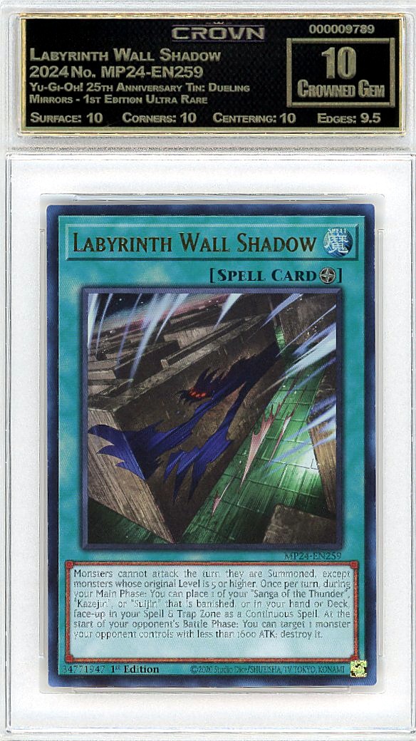 Labyrinth Wall Shadow