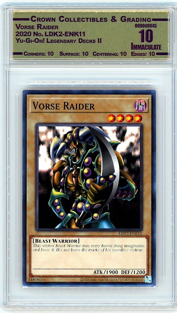 Vorse Raider