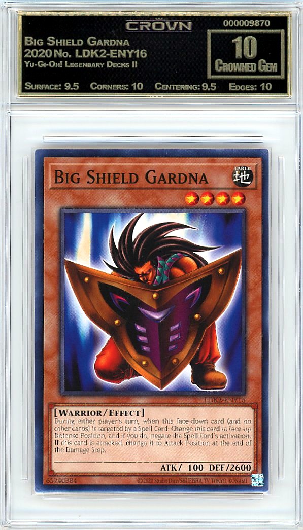 Big Shield Gardna