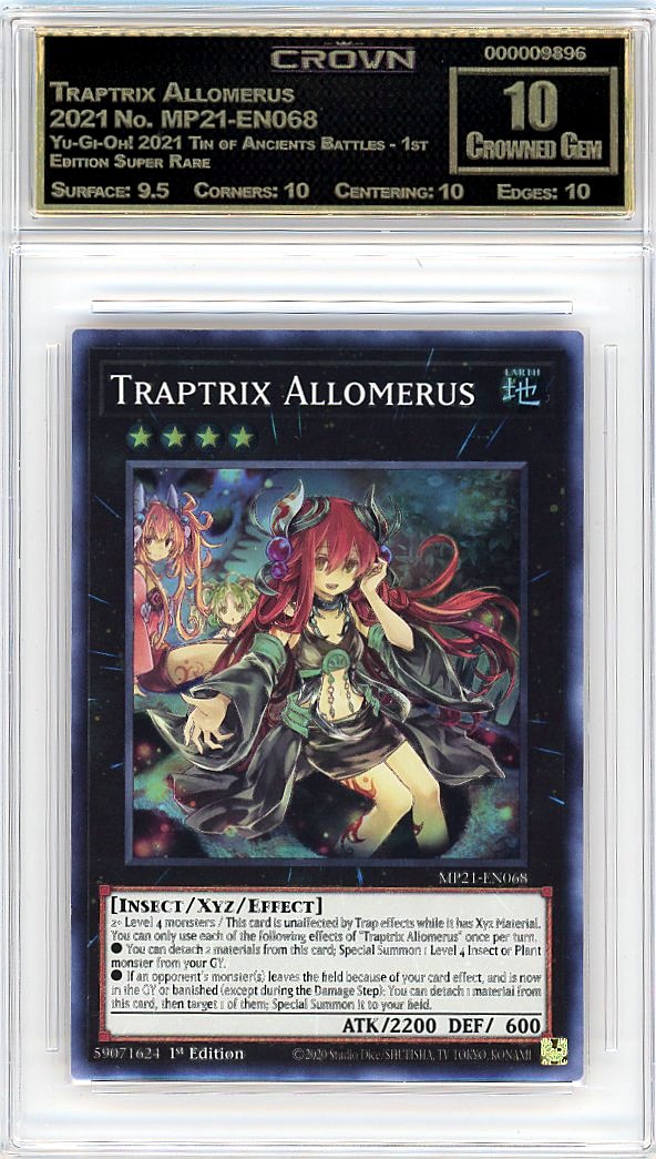 Traptrix Allomerus