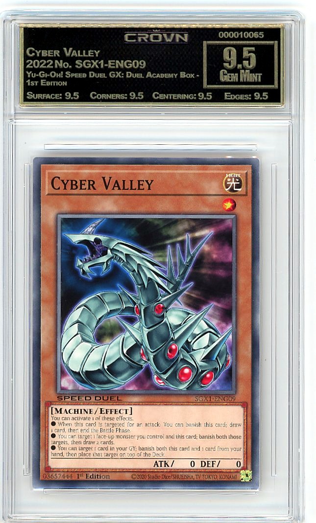 Cyber Valley