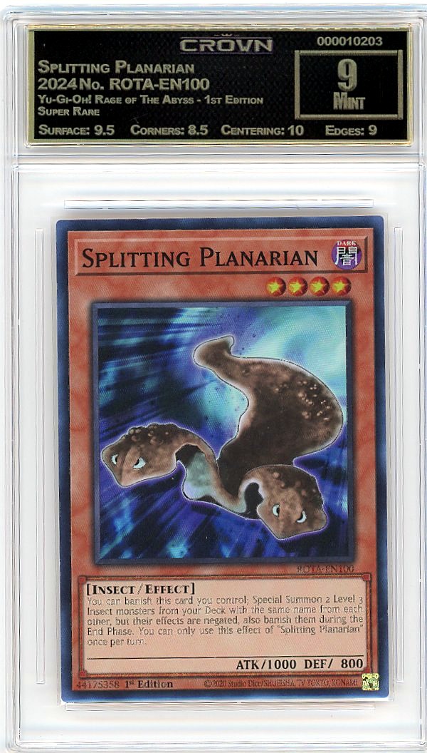 Splitting Planarian