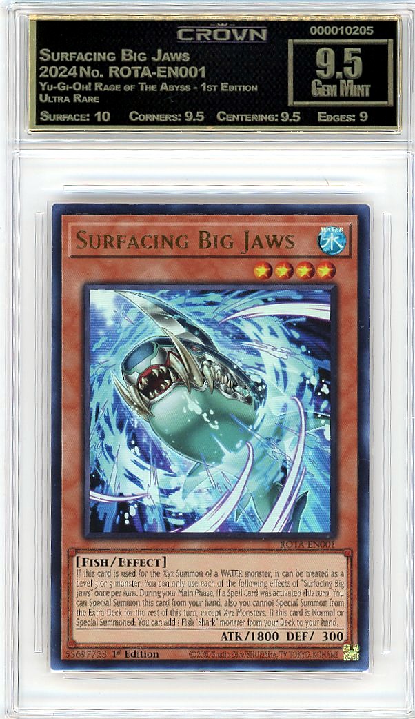 Surfacing Big Jaws