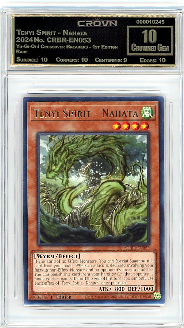 Tenyi Spirit - Nahata
