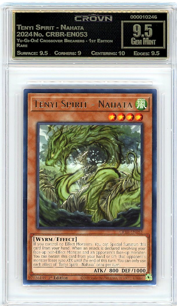 Tenyi Spirit - Nahata