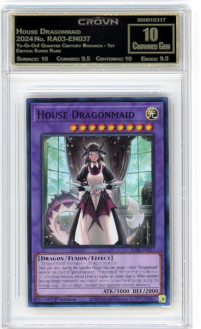 House Dragonmaid