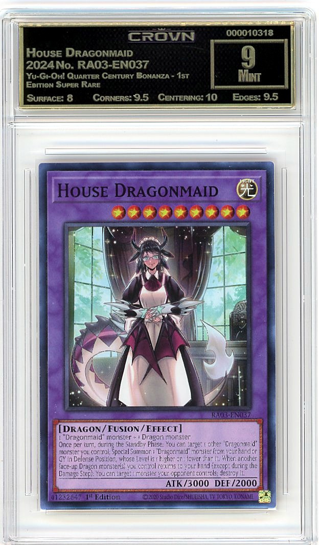 House Dragonmaid