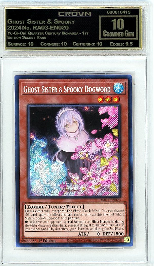 Ghost Sister & Spooky Dogw…