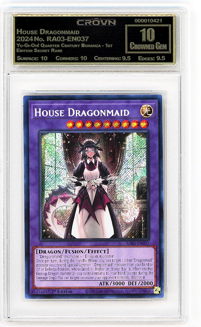 House Dragonmaid