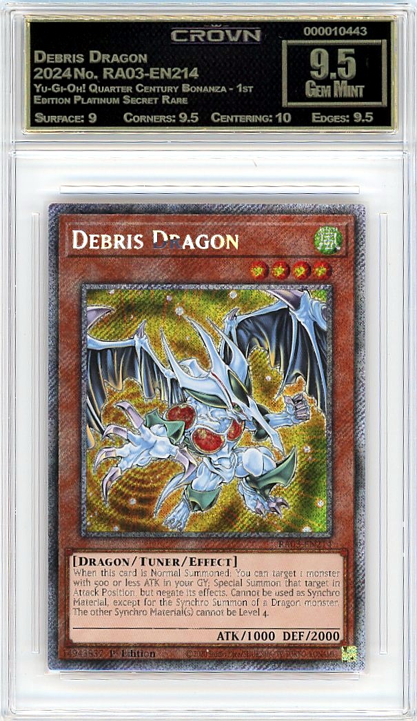 Debris Dragon