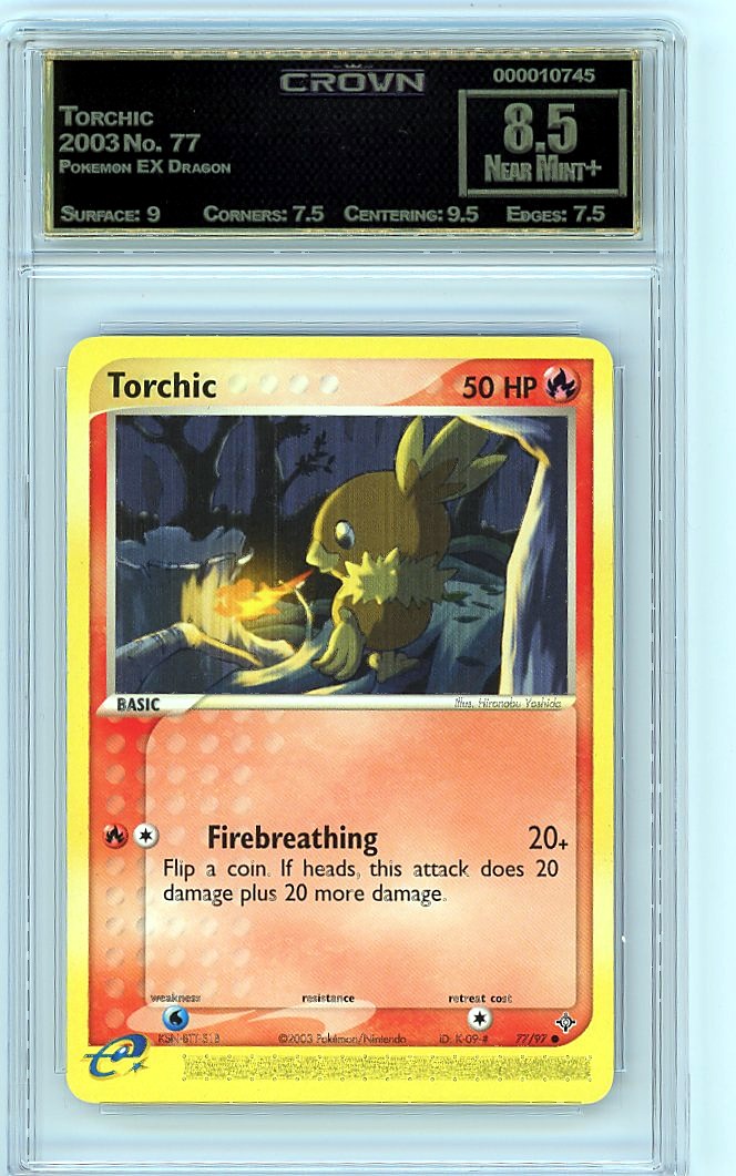 Torchic