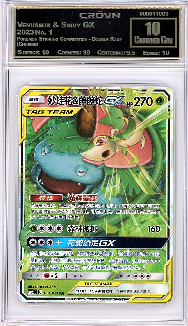 Venusaur & Snivy GX