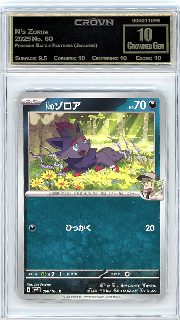 N's Zorua