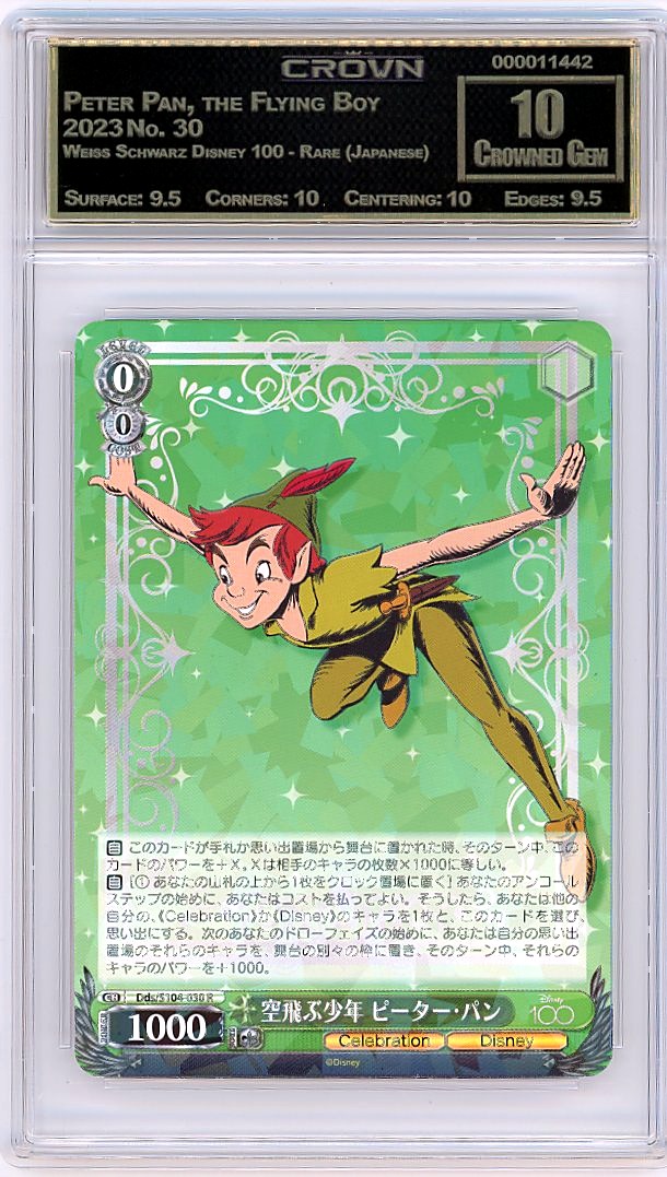 Peter Pan, the Flying Boy