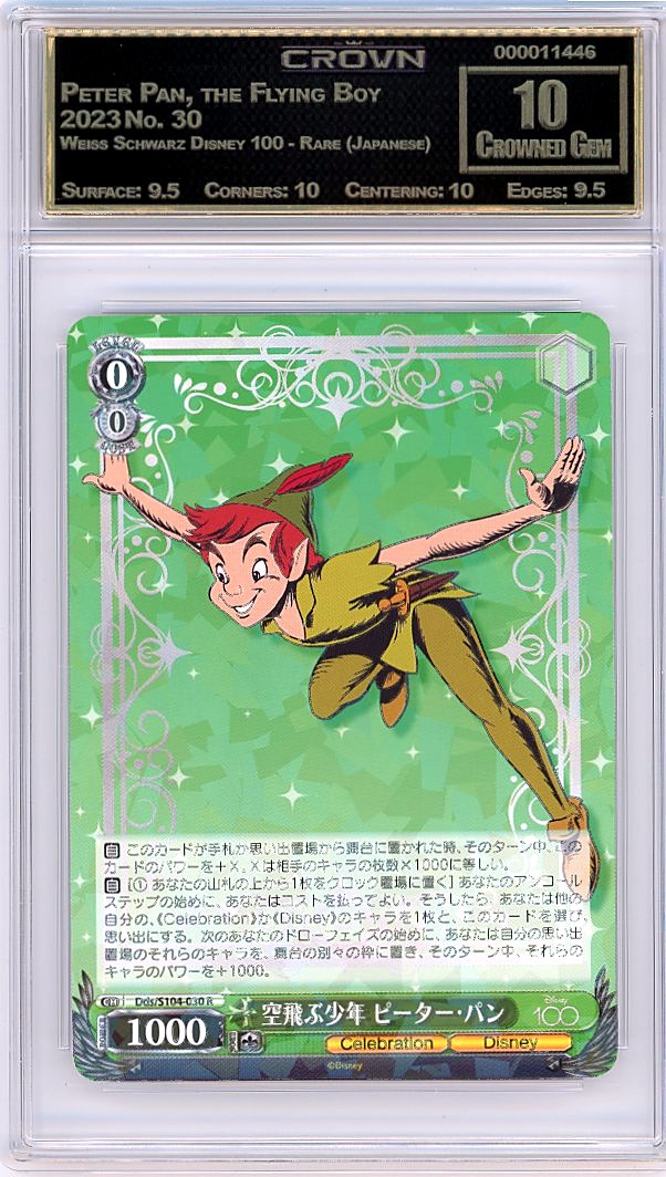 Peter Pan, the Flying Boy