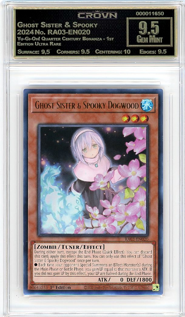 Ghost Sister & Spooky Dogw…