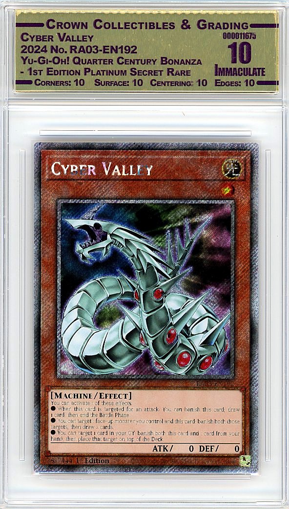 Cyber Valley