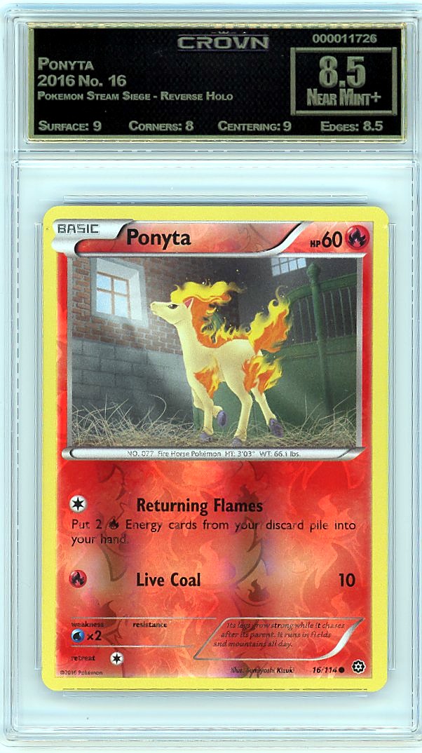 Ponyta